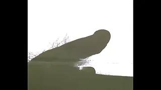 Gay Porn World 1
